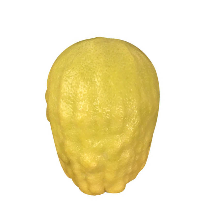 Mehudar Calabrian Yanover (Chabad Custom)